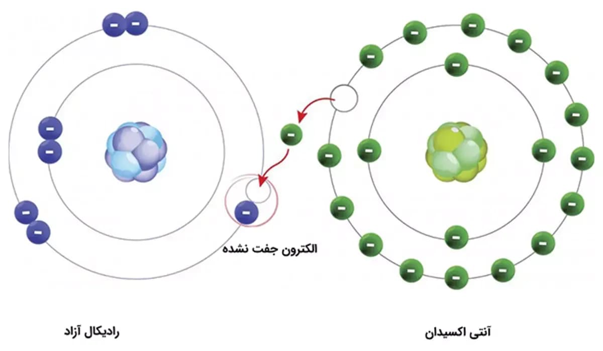 رادیکال های آزاد